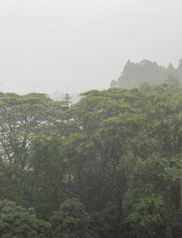 公富网配资 广州多区发布暴雨黄色预警！周五降水减弱，端午前期适宜出行